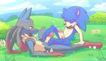  balls duo foot_fetish footjob hedgehog humanoid_penis male male/male mammal mega_evolution mega_lucario nintendo outside penis pok&eacute;mon rexin sonic_(series) sonic_the_hedgehog story story_in_description video_games 