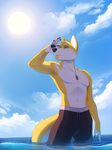  2015 5_fingers canine clothed clothing day dog dog_tags fur mammal navel outside sky smile solo standing sythgara topless water yellow_fur 