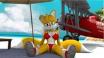  3d_(artwork) anthro big_breasts breasts canine clothing crossgender digital_media_(artwork) fox hair mammal miles_prower pixel-perry pose scene solo sonic_(series) 