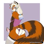  ambiguous_gender anthro blush butt clothing garter lingerie looking_at_viewer mammal natysanime red_panda smile 