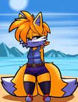  canine clothing cute dreamcastzx1 fem_tails female fox leggings legwear mammal shorts sonic_(series) young 