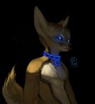  anthro big_ears canine collar fennec fluffy fox invalid_tag male mammal nude poisewritik 