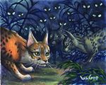  cat feline invalid_tag magic_the_gathering mammal night susan_van_camp whiskers 