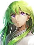  bloom enkidu_(fate/strange_fake) fate/strange_fake fate_(series) green_hair highres long_hair parted_lips purple_eyes ruchi simple_background solo upper_body white_background 