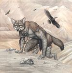  2002 avian bandage bird canine coyote desert kurst mammal piercing rog_minotaur tarantula vulture 