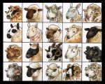  2012 4_horns ambiguous_gender beady_eyes black_border black_eyes black_fur black_horn black_markings black_spots black_welsh_mountain bluefaced_leicester border border_leicester bovid brown_fur brown_horn brown_spots caprine cheviot_sheep clun_forest_sheep covered_eyes curved_horn domestic_sheep dorset_down eattoast english_text eye_markings facial_markings female feral fluffy fur grey_fur greyface_dartmoor hampshire_down headshot_portrait herdwick hill_radnor horn jacob_sheep kerry_hill_sheep lighting lincoln_longwool long_ears male mammal marker_(artwork) markings merino_sheep multi_horn multicolored_fur multiple_images muzzle_(marking) oxford_down portrait romney_sheep rough_fell scottish_blackface shadow sheep simple_background snout solo southdown_sheep spots spotted_fur suffolk_sheep tan_horns text toony traditional_media_(artwork) two_tone_fur welsh_mountain_sheep white_background white_fur white_markings wool yellow_fur 