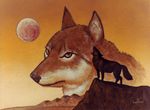  canine feral howl magic_the_gathering mammal moon susan_van_camp wolf 