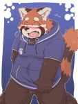  2016 ailurid anthro balls belly blush clothing hoodie humanoid_hands kota&acute; male mammal overweight overweight_male red_panda simple_background solo 