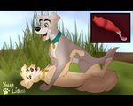  angel_(lady_and_the_tramp) animal_genitalia animal_pussy blue_eyes canine canine_pussy cum cum_inside cumshot disney dog ejaculation female invalid_tag knotting lady_and_the_tramp male mammal orgasm penis pussy scamp sex 