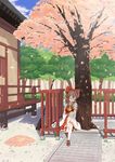  against_tree ascot bow brown_hair cherry_blossoms detached_sleeves full_body hair_bow hair_tubes hakurei_reimu japanese_clothes nontraditional_miko porch ribbon ribbon-trimmed_sleeves ribbon_trim sitting sleeping sleeping_upright solo sorakujira_(pixiv) touhou tree 