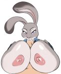  anthro big_breasts breasts disney duo erection faceless_male fellatio female first_person_view hi_res huge_breasts human human_on_anthro humanoid_penis interspecies judy_hopps lagomorph looking_at_viewer male male/female male_pov mammal nipples oral penis rabbit seii3 sex titfuck vein zootopia 