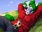  2017 3_toes 4_fingers anthro atimist barefoot beaucephus belt biped black_nose blue_eyes blue_sky border_collie brown_hair canine cheek_tuft clothed clothing cloud collie countershade_torso countershading detailed_background digital_media_(artwork) dipstick_tail dog duo eyebrows featureless_crotch floppy_ears fox fully_clothed fur grass green_fur grey_bottomwear grey_clothing grey_pants hair hands_behind_head head_tuft hill larger_male lying male mammal micro multicolored_fur multicolored_tail naturally_censored nude on_back outside pants red_clothing red_shirt red_topwear shirt side_difference signature sitting size_difference sky smaller_male smile snout solaxe_(artist) tan_fur teeth toes tuft two_tone_fur two_tone_tail white_countershading white_fur 
