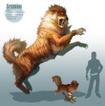  absurdres animal_nose arcanine arvalis black_claws black_fur blue_background blue_eyes breath_weapon breathing_fire character_name closed_mouth deviantart_username digitigrade english_text evolutionary_line fangs fire fluffy_tail from_side gradient_background growlithe hand_on_another&#039;s_back height height_chart highres jumping lion_mane looking_at_another looking_down open_mouth orange_fur pokedex_number pokemon pokemon_(creature) pokemon_focus profile realistic rearing roaring shadow sharp_teeth signature silhouette snout sparks teeth tiger_stripes turtle_shell turtwig two-tone_fur whiskers white_background white_fur white_tail 