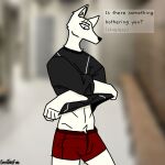 1:1 accident accidental_exposure anthro asking_viewer beastars beastarsfan big_penis bodily_fluids boxers_(clothing) bulge canid canine canis clothing dialogue dressing_room_(disambiguation) english_text erection genital_fluids genitals hi_res legoshi_(beastars) male mammal oblivious penis precum solo solo_focus talking_to_viewer text thick_penis underwear undressing wardrobe_malfunction wolf