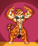  anthro biceps big_muscles bikini bodybuilder breasts clothed clothing feline female gettar82 hyper hyper_muscles invalid_tag kung_fu_panda mammal master_tigress muscles muscular_female pose skimpy solo stage stripes swimsuit tiger tight_clothing 