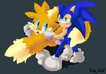  crazy_furball sonic_team sonic_the_hedgehog tagme tails 