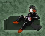 5:4 bernese_mountain_dog breasts canid canine canis casual_clothing chair clothing domestic_dog fetish furniture hi_res latex latex_clothing latex_skinsuit lazy lounge_chair lounging mammal molosser mountain_dog raevi10 skinsuit sofa squeak swiss_mountain_dog tight_clothing tired tired_expression tired_eyes tired_look