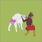  2017 balls big_balls blue_eyes blush bulge canine clothing collar dog feral fluffy girly invalid_color male male/male mammal mikalovesyou panties pantydog paws pink_nose presenting_rear red_eyes simple_background tongue tongue_out underwear 
