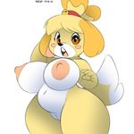  2017 animal_crossing anthro areola big_breasts blush breasts canine dog erect_nipples female fur hair isabelle_(animal_crossing) looking_at_viewer mammal nintendo nipples nude open_mouth pussy simple_background solo tongue video_games white_fur xylas yellow_fur 