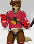  animal_genitalia animal_penis anthro balls brown_fur bulge canine canine_penis clothing dog flopped_ears fur gloves hockey hockey_stick jersey jockstrap looking_at_viewer male mammal multicolored_fur number penis penis_tip pose red_penis smile solo sport standing tagme teeth truegrave9 underwear yellow_eyes 