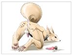  2017 all_fours animal_genitalia animal_penis anus balls canine canine_penis coypowers dildo ear_piercing fennec fox hindpaw knotted_dildo looking_at_viewer looking_back male mammal nude paws penis piercing presenting raised_tail sex_toy solo 