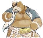  ashigara bear male mammal muscular obese overweight solo tokyo_afterschool_summoners 