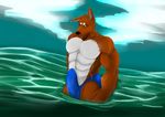  anthro bulge canine clothing erection looking_at_viewer male mammal muscular outside partially_submerged skyeder0 solo speedo standing swimsuit 