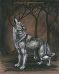  2000 canine feral forest howl mammal man_arms rog_minotaur solo tree wolf 