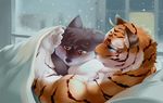  anthro bed blush canine duo feline fur hug inside male male/male mammal nude pillow sheeporwolf sweat tiger 