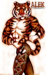  abs clothed clothing feline male mammal rog_minotaur solo stripes tiger topless 