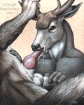  2001 antlers canine cervine deer horn knot male male/male mammal oral penis rog_minotaur wolf 