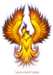  2008 avian bird feral fire phoenix solo susan_van_camp 