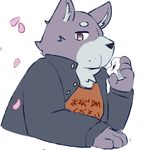  anthro canine clothed clothing flower_petals food fur looking_at_viewer male mammal petals sheeporwolf solo 