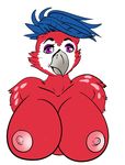  areola avian big_breasts bird blue_hair breasts female hair nipples punishedkom solo 