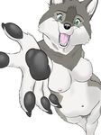  2013 anthro blue_eyes breasts canine female fur grey_fur looking_at_viewer mammal nipples nude pawpads simple_background smile solo ukabor white_background white_fur wolf 