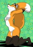  2015 anthro armpits black_fur breasts brown_eyes butt canine dipstick_tail female fox fur gloves_(marking) kneeling looking_back mammal markings multicolored_fur multicolored_tail nipples nude open_mouth orange_fur simple_background socks_(marking) solo tail_grab ukabor white_fur 