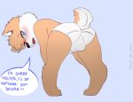  bent_over blue_eyes blush briefs brown_fur bulge canine child clothing corgi cub dog fur looking_back male mammal shinsuke simple_background solo speech_bubble text underwear white_fur young 