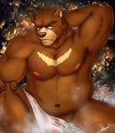  anthro bear bulge dingding_(artist) looking_at_viewer male mammal musclegut nipples overweight solo towel 