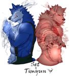 anthro canine claws clothing dingding_(artist) duo fur magic male mammal muscular smile tight_clothing tongue tongue_out 