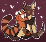 2025 ailurid anthro black_body black_fur boxers_(clothing) brown_body brown_fur brown_hair claws clothed clothing eye_scar eyes_closed eyewear facial_scar fluffy full_pad fur glasses grey_pawpads grey_soles gulonine hair hi_res hybrid kangaroo kissing macropod male male/male mammal markings marsupial marten mustelid musteline orange_body orange_fur pawpads paws plantigrade ra&#039;zim rdy_(character) red_panda sable_(marten) scar striped_markings striped_tail stripes tail tail_markings tan_body tan_fur tickout underwear underwear_only white_body white_fur