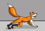 2009 all_fours black_ear_tips black_markings black_nose canid canine colored countershade_face countershading digitigrade dipstick_ears dipstick_tail ear_markings feral fox fox0808 glistening glistening_body glistening_face glistening_legs glistening_tail goo_transformation grey_background human_to_feral male mammal markings mid_transformation multicolored_ears nude open_mouth orange_body paws quadruped side_view simple_background snout solo species_transformation standing tail tail_markings tongue tongue_out transformation white_inner_ear