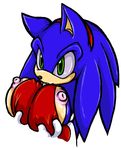  rule_63 sonic_team sonic_the_hedgehog sonicdash tagme 