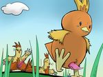  ariffrazalin combuskin mudkip nintendo pokemon torchic 