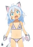  1girl animal_ears bikini blue_eyes blue_hair child cowboy_shot female halter_top looking_at_viewer matching_hair/eyes midriff navel open_mouth satsuyo simple_background solo tail white_background 