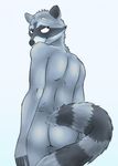  anthro black_fur bucklebunny butt fur grey_fur mammal nude raccoon 