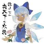  blue_bow blue_dress blue_eyes blue_hair bow cirno commentary_request dated dress flower hair_bow hidden_star_in_four_seasons ice ice_wings looking_at_viewer morning_glory pink_flower puffy_short_sleeves puffy_sleeves shihou_(g-o-s) short_hair short_sleeves signature smile solo sunflower tan tanned_cirno touhou translation_request upper_body white_background wings 