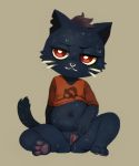  anthro bottomless cat clothed clothing crookedtrees feline female hi_res looking_at_viewer mae_(nitw) mammal navel night_in_the_woods presenting presenting_pussy pussy shirt slightly_chubby solo spread_pussy spreading video_games 