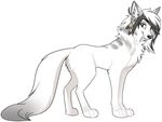 alpha_channel andogg canine female feral fur hair looking_at_viewer mammal simple_background smile solo standing transparent_background 