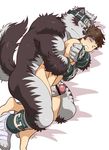  2017 armpit_hair brown_hair canine duo erection hair horkeukamui hug human humanoid_penis lying male male/male mammal nude on_side penis precum sex shirako simple_background spoon_position spooning thigh_sex tokyo_afterschool_summoners vein veiny_penis white_background wolf 