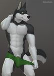  athlete canine clothing katarhein mammal model penis solo underwear wolf 